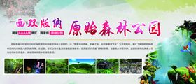 西双版纳原始森林公园海报