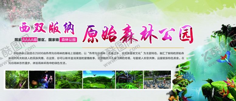 编号：65248507130333291086【酷图网】源文件下载-西双版纳原始森林公园海报
