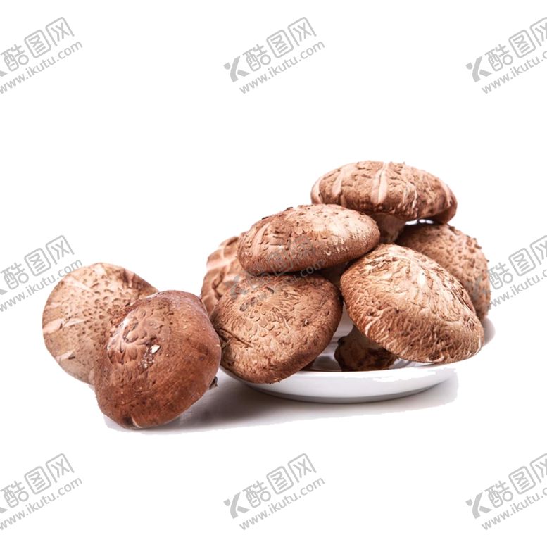 编号：42355301270421329393【酷图网】源文件下载-香菇