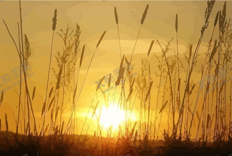 编号：14677509240518491378【酷图网】源文件下载-芦苇荡日出矢量插画