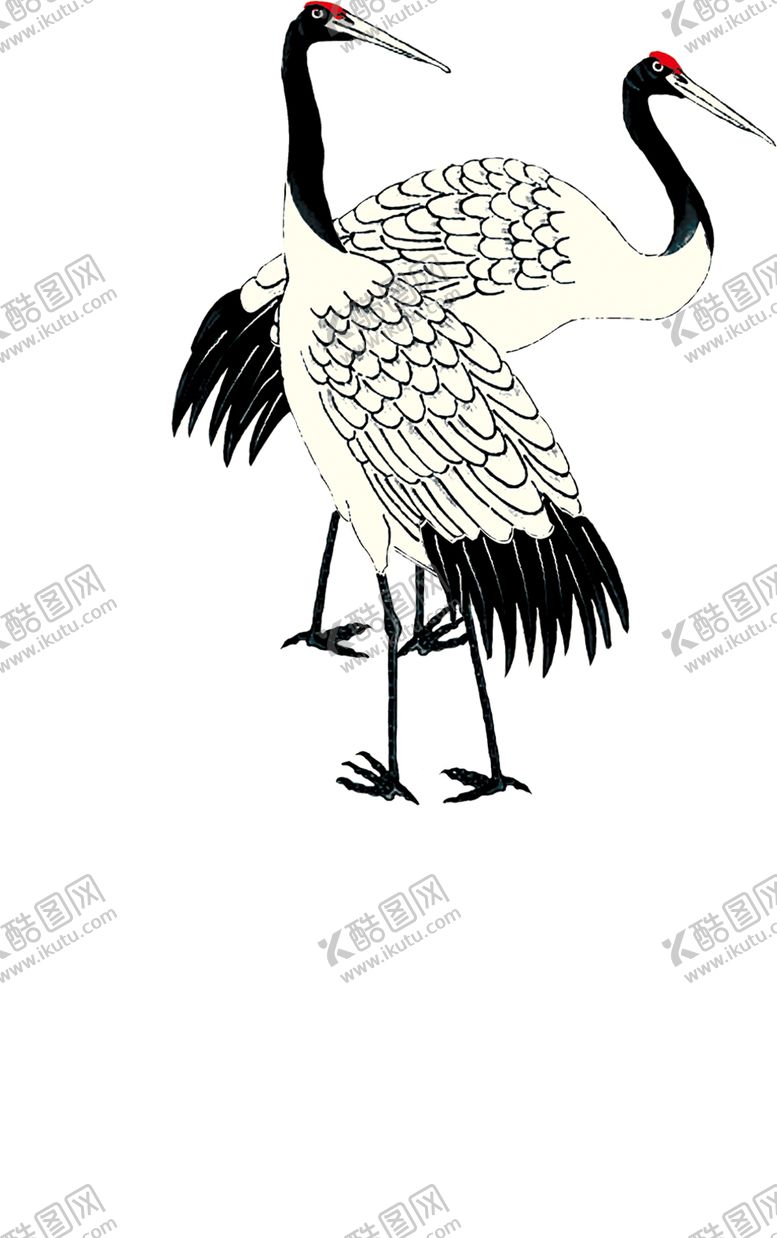 编号：45163110080626279555【酷图网】源文件下载-仙鹤
