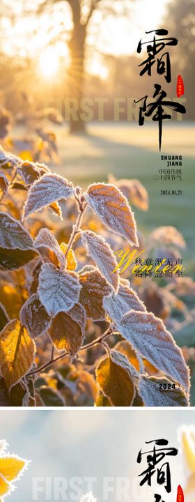 霜降海报叶子二十四节气简约系列