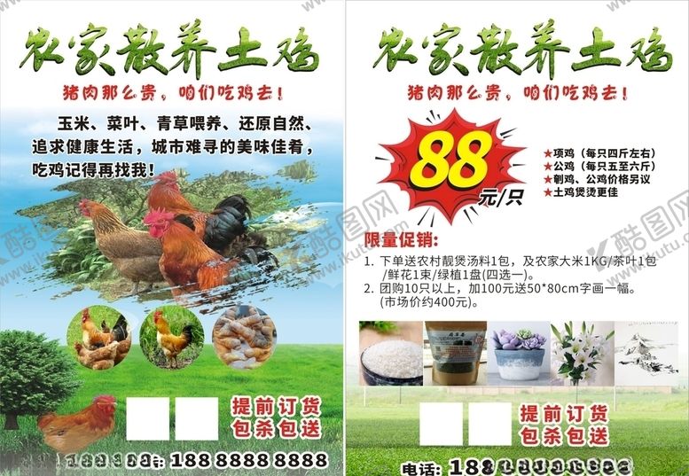 编号：83645510022103239712【酷图网】源文件下载-农家散养土鸡