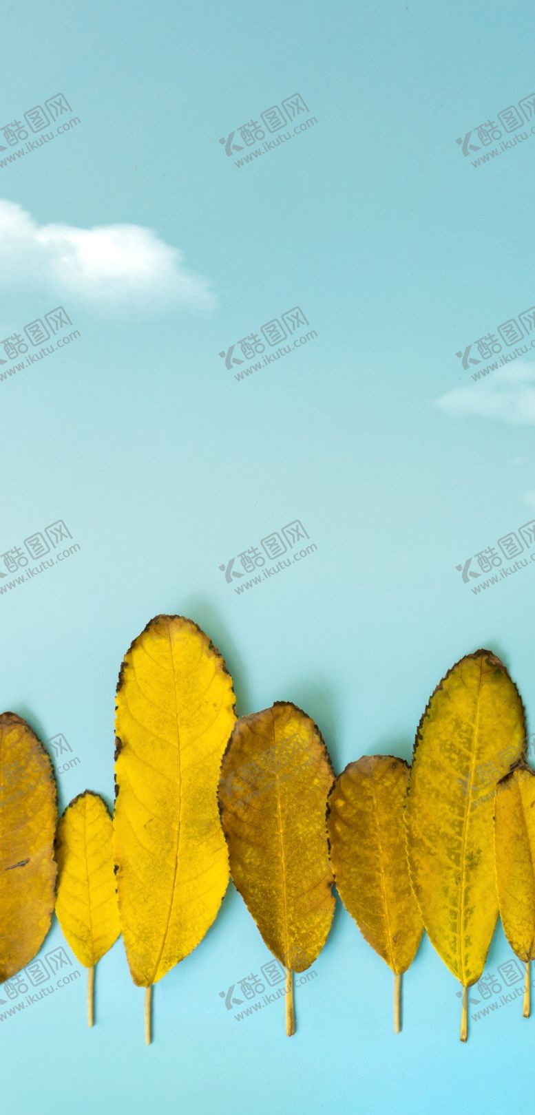 编号：21653306142234053103【酷图网】源文件下载-手机壁纸
