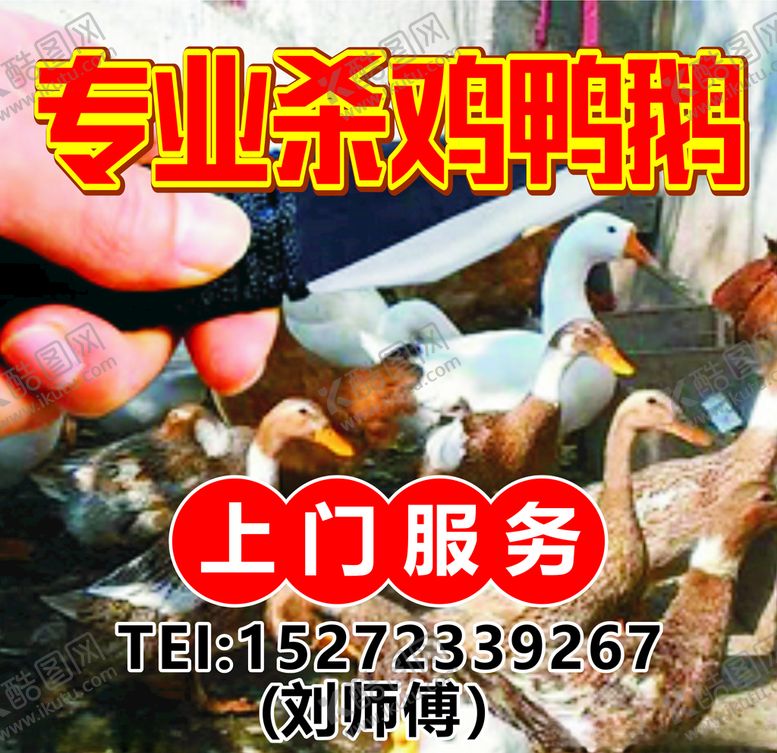 编号：65198309252258153815【酷图网】源文件下载-专业杀鸡杀鸭