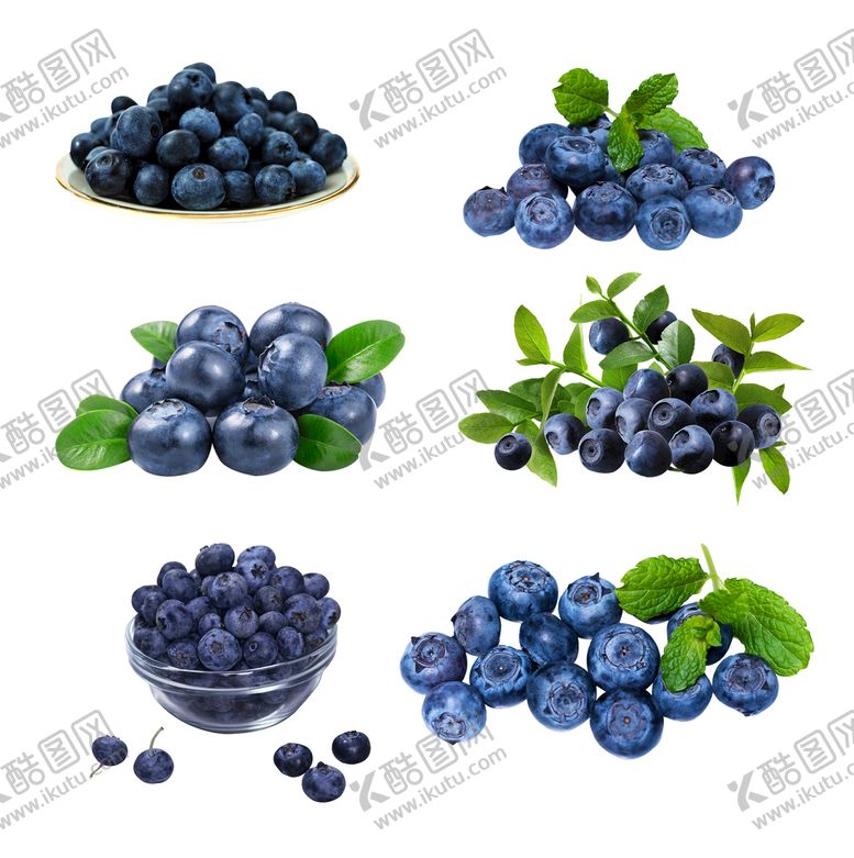 编号：09718609192135510183【酷图网】源文件下载-蓝莓