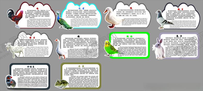 编号：33637801250811263633【酷图网】源文件下载-动物介绍