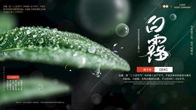 白露海报气候气节二十四节气