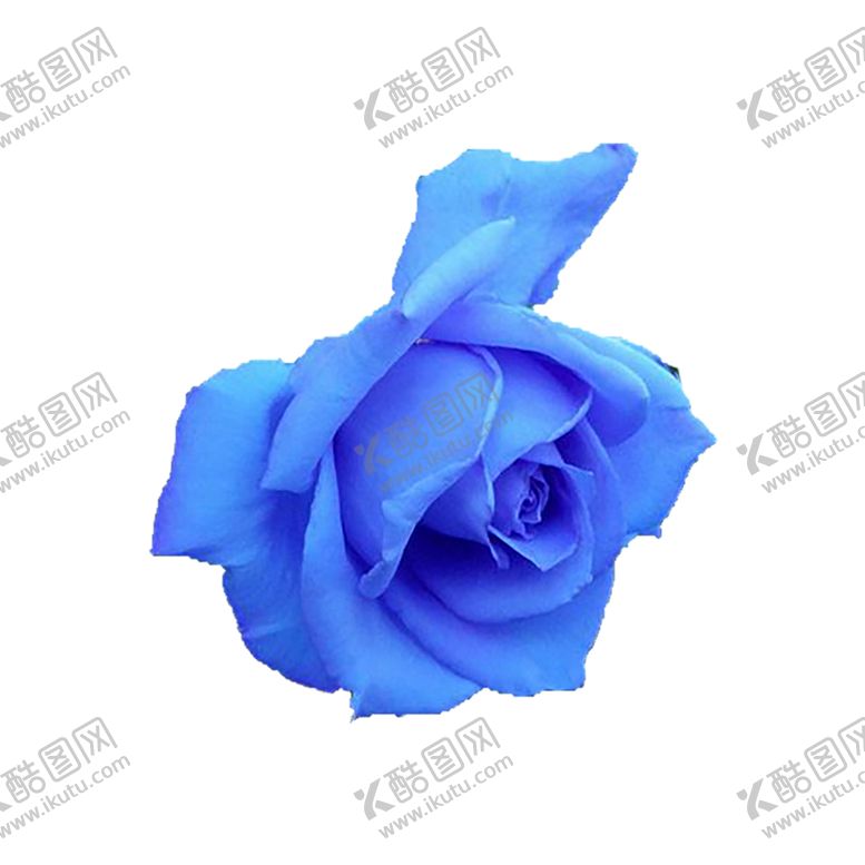 编号：28134807131042359663【酷图网】源文件下载-绿色相框