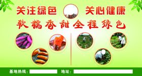 绿色健康蜜薯