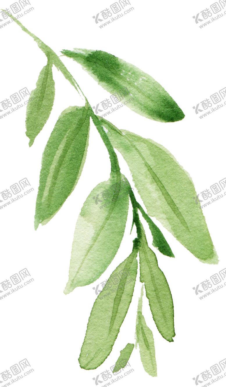编号：55410007061353517184【酷图网】源文件下载-绿色装饰