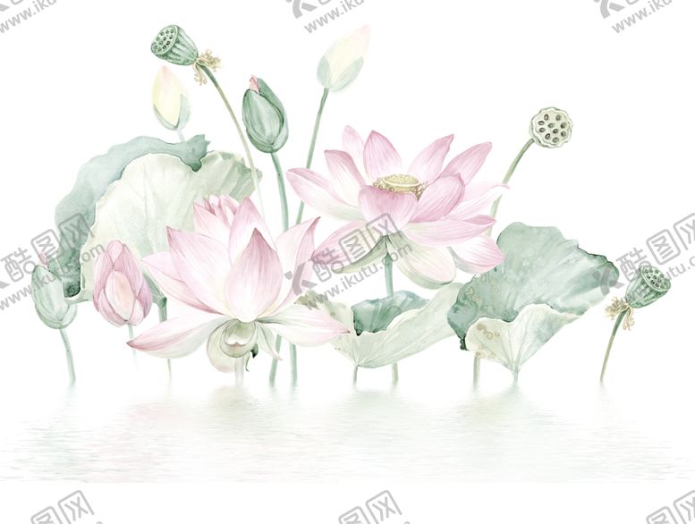 编号：83184309150328447863【酷图网】源文件下载-荷花