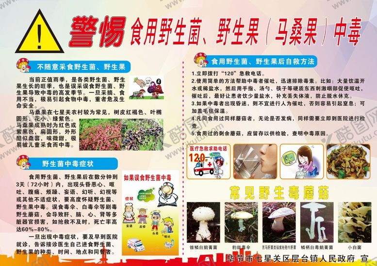 编号：30228501240404389455【酷图网】源文件下载-警惕食用野生菌马桑果中毒