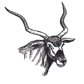 羚羊插画图案