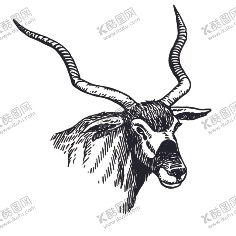 编号：30638110171534249977【酷图网】源文件下载-羚羊插画图案