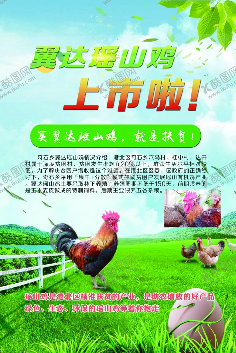 编号：94588906281226319466【酷图网】源文件下载-山鸡