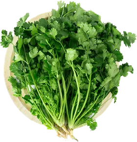 香菜