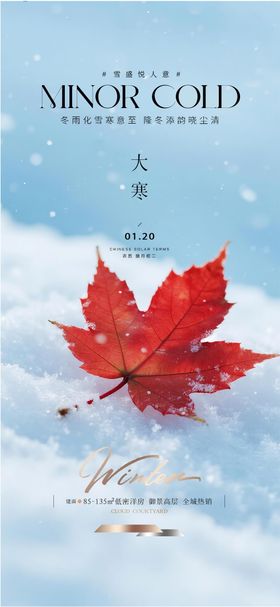 地产大寒质感节气海报