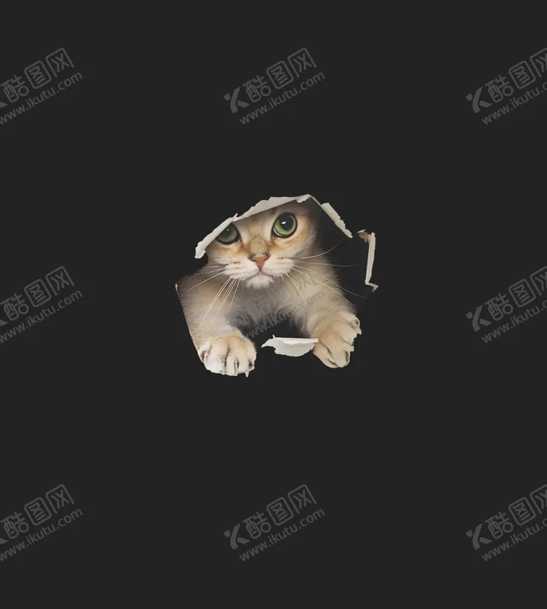 编号：19800803011502538071【酷图网】源文件下载-定位花
