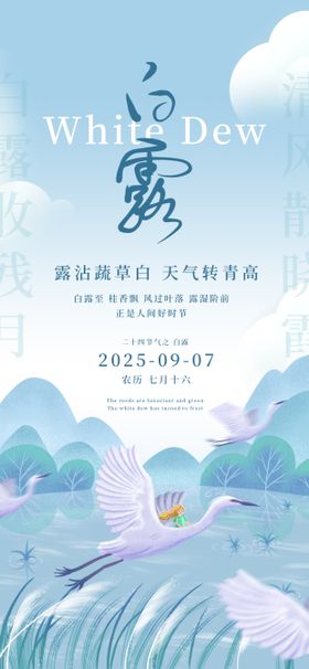 白露24节气绿色白鹭芦苇秋天海报