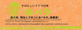 葡萄袋