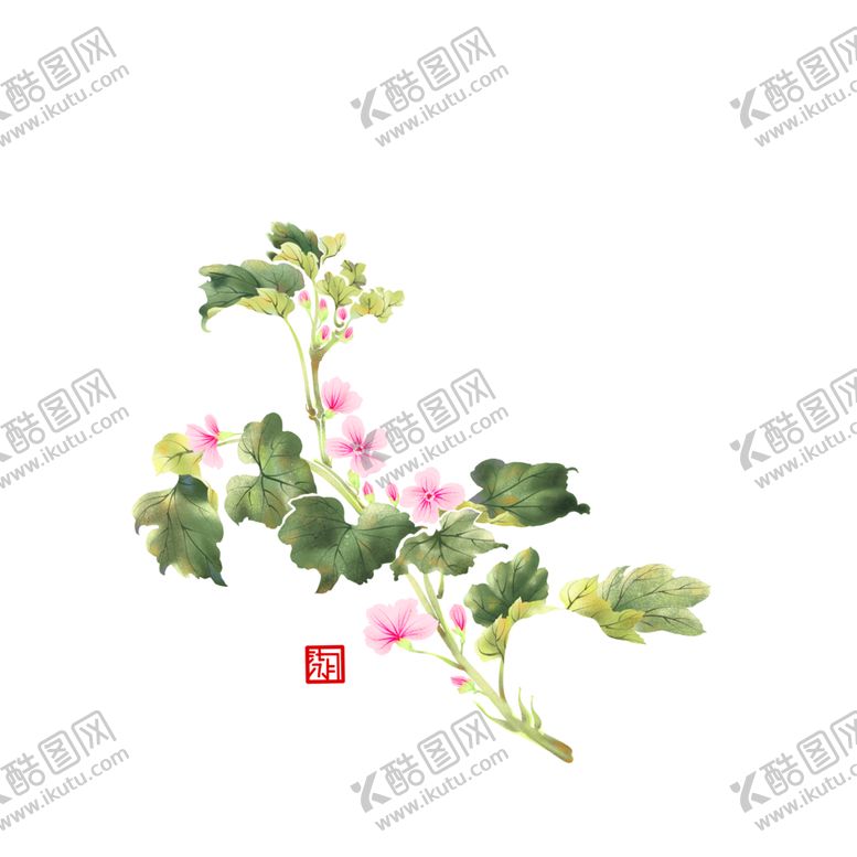 编号：73290010240841198655【酷图网】源文件下载-草本植物药材