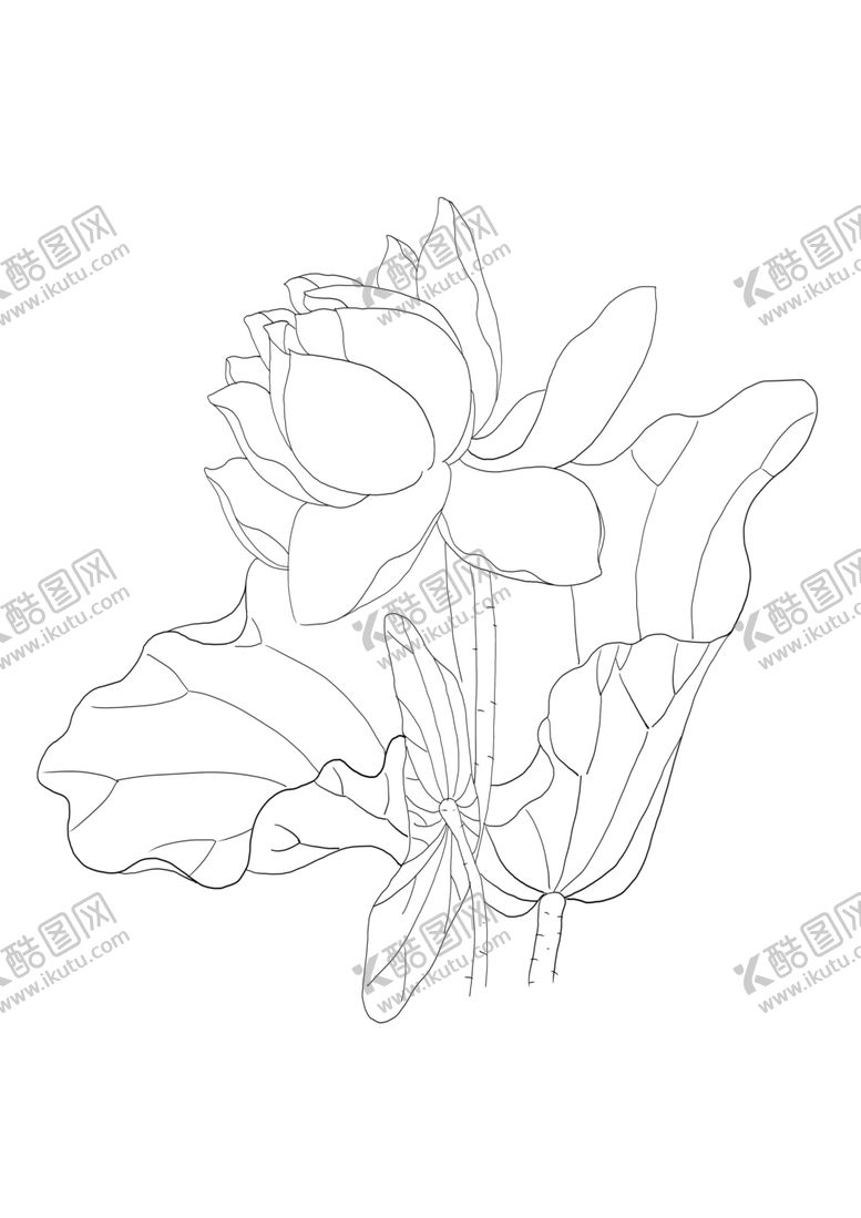 编号：27396810042356126435【酷图网】源文件下载-荷花简笔画