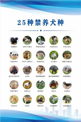 禁养犬名录