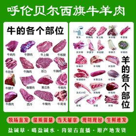 牛羊肉解剖图