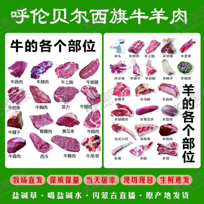 编号：30171309291914367263【酷图网】源文件下载-牛羊肉解剖图