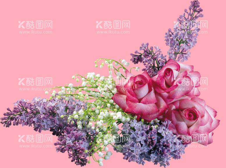 编号：39615009261746434516【酷图网】源文件下载-丁香花