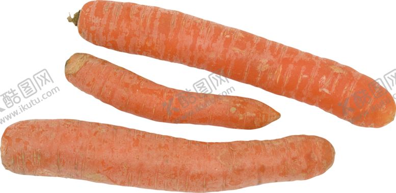 编号：20356709251426514618【酷图网】源文件下载-胡萝卜