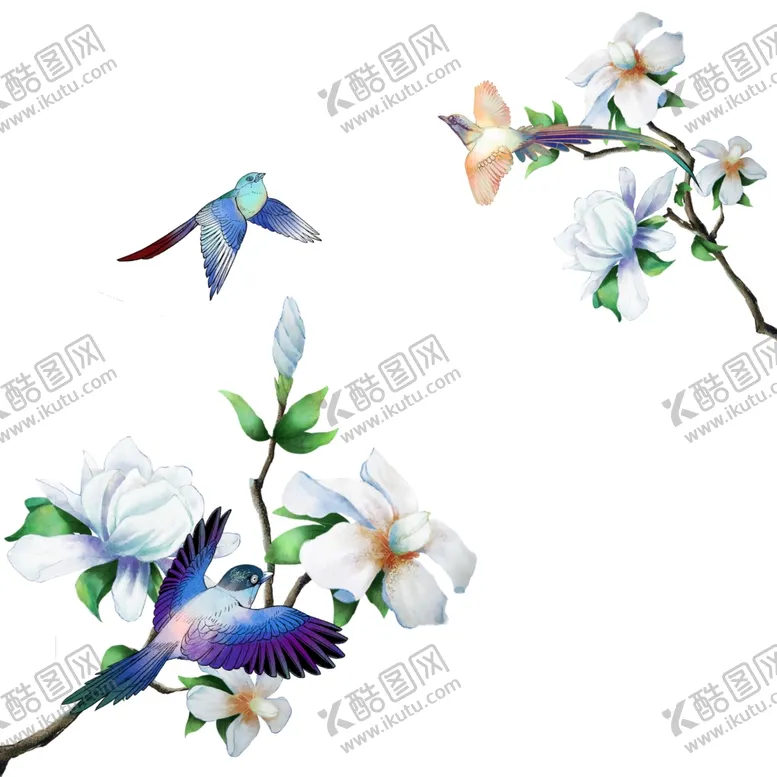 编号：87313102220655051668【酷图网】源文件下载-比翼鸟素材