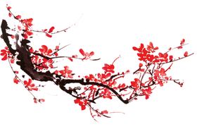 中国风水墨梅