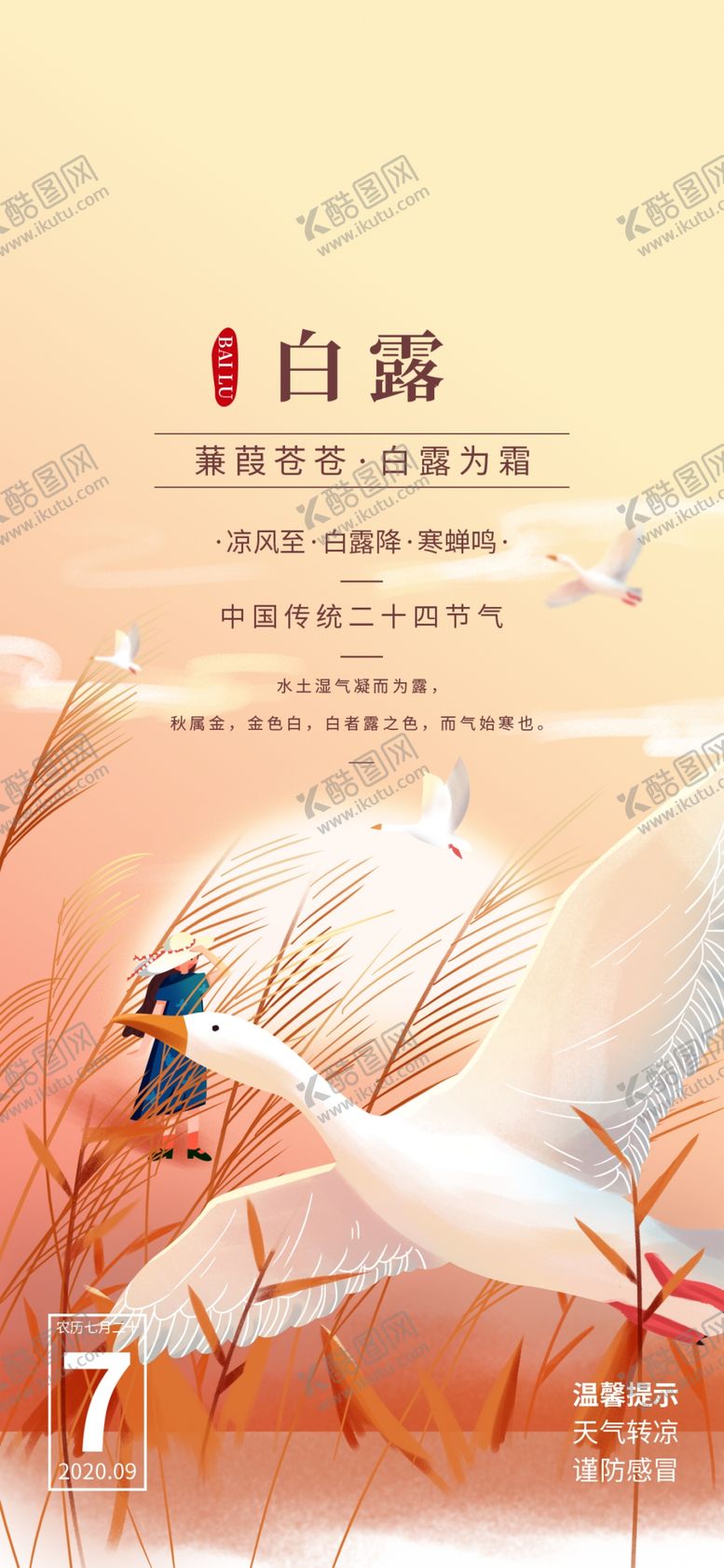 编号：59826607141324008197【酷图网】源文件下载-白露海报
