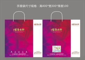房地产手提袋