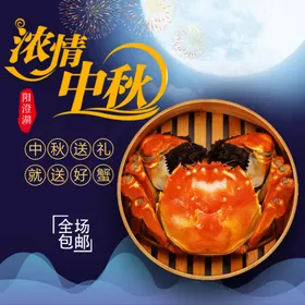 淘宝电商主图天猫设计网站导航家