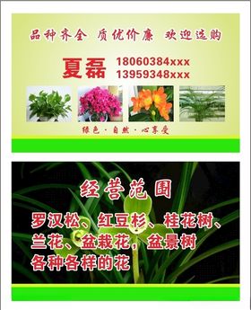 夏磊盆栽名片
