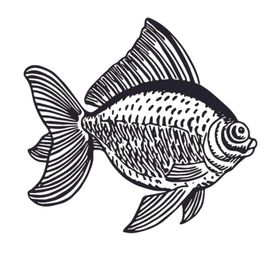 海洋生物鱼类图案