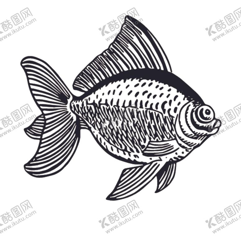 编号：55208110262046272983【酷图网】源文件下载-海洋生物鱼类图案