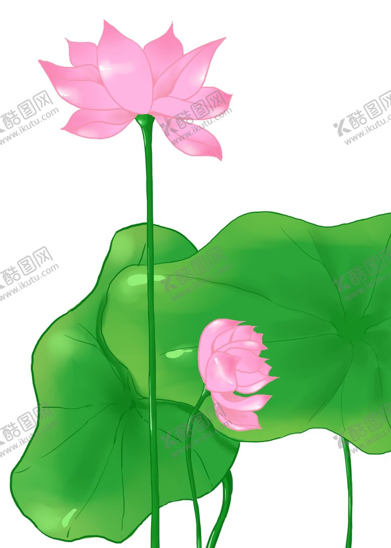 编号：53412103272318441967【酷图网】源文件下载-荷花元素