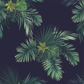 热带植物