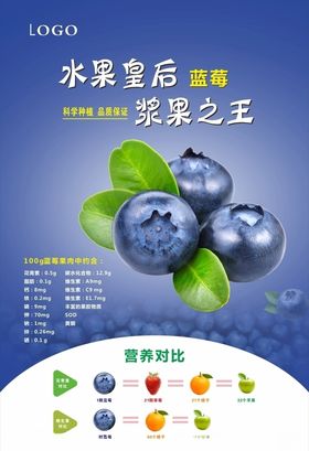 蓝莓宣传海报灯箱