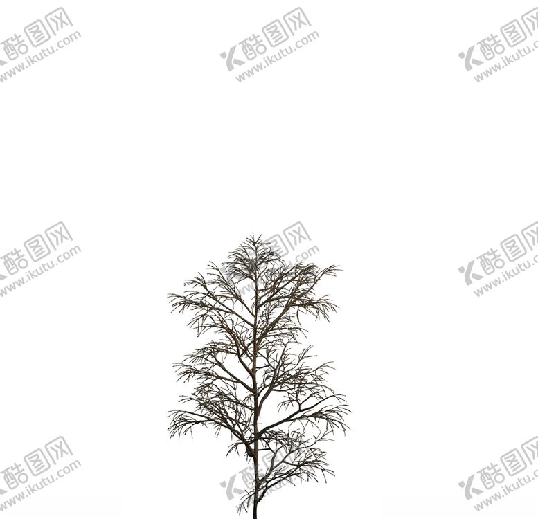 编号：48120610050204091854【酷图网】源文件下载-树木