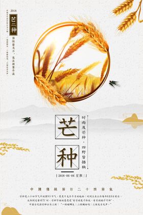 芒种海报