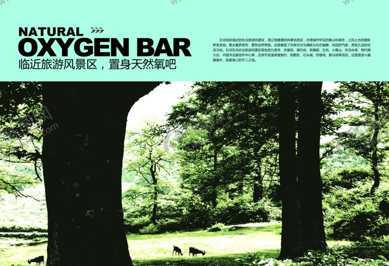 编号：30719407122031053460【酷图网】源文件下载-企业创意画册