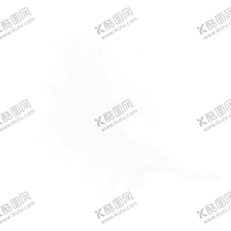 编号：73233002171831397765【酷图网】源文件下载-羽毛 素材