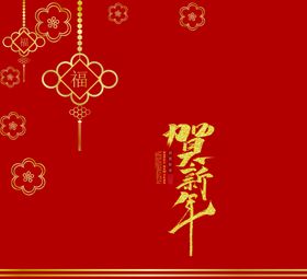 新年喜庆图案包装