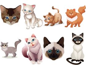 卡通猫