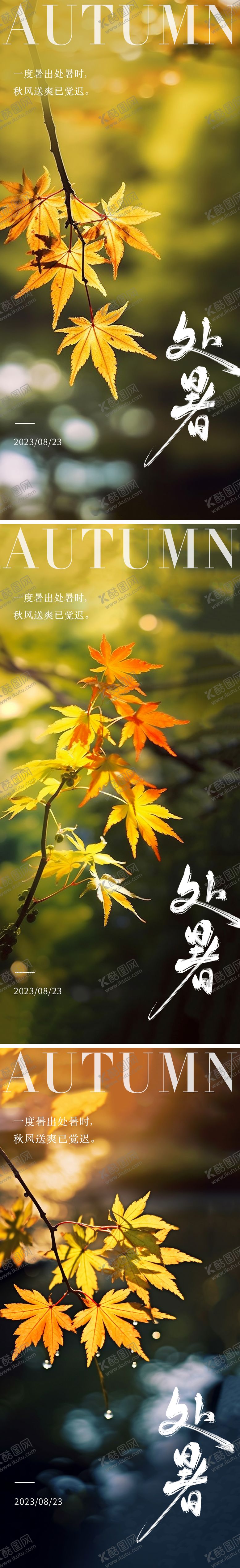 编号：67568711211705443142【酷图网】源文件下载-24节气处暑枫叶海报